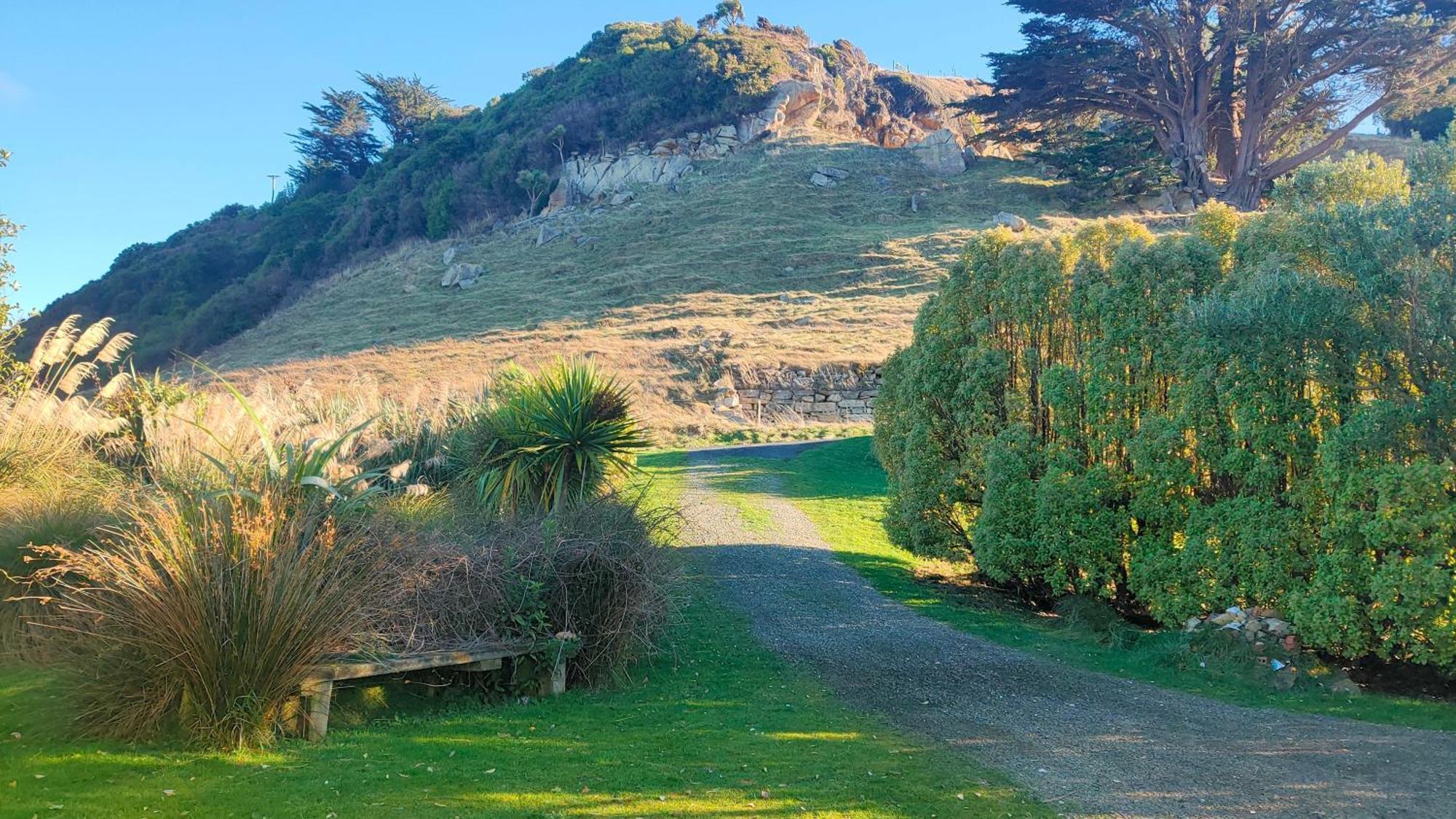 Pukemara Retreat Daire Sandymount Dış mekan fotoğraf