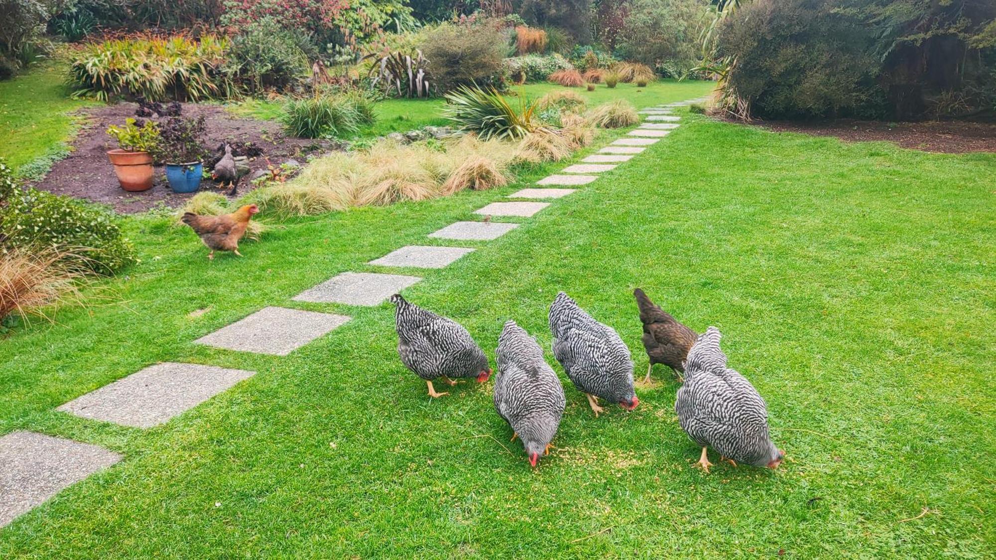 Pukemara Retreat Daire Sandymount Dış mekan fotoğraf